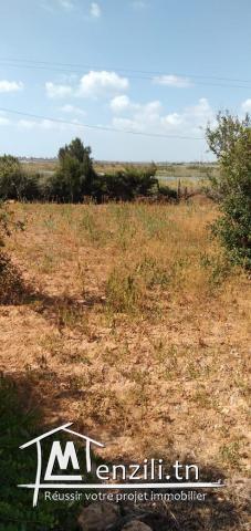 profitez de nos offres