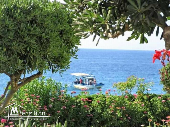 terrain à prix raisonnable