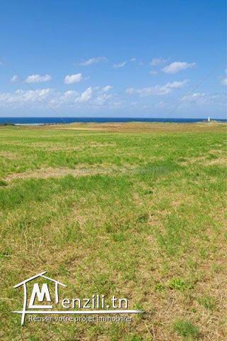 Terrain de 500m² pied dans l'eau à Kerkouane