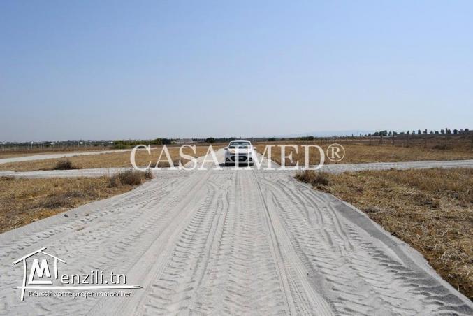 Terrain à  hammamet de 350 m²