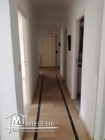 Appartement Spacieux