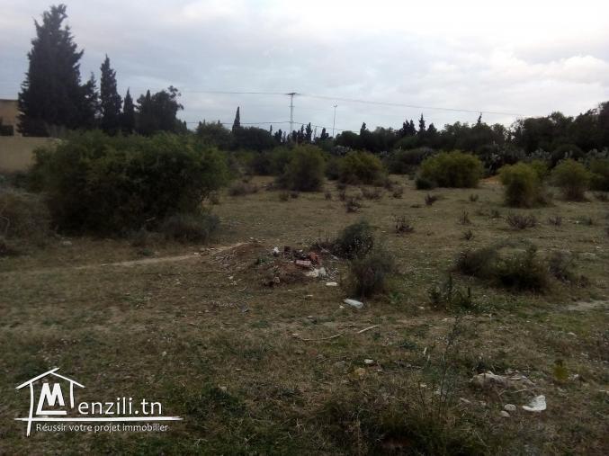 Terrain Sidi Mahressi