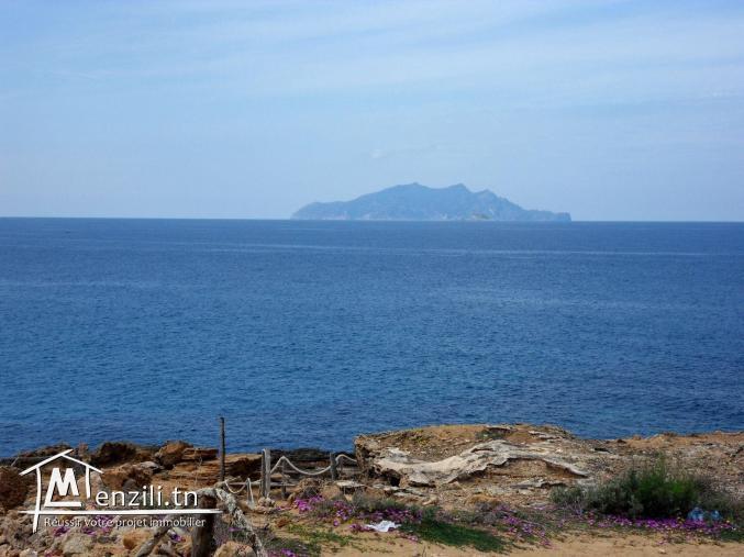 une opportunité extraordinaire !!