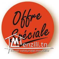 TERRAIN CHIC 75000DT