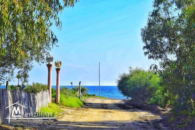 terrain vue sur mer à kerkouane /kélibia tél 26122779