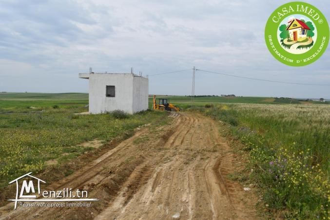 terrain de 250m² à 12 mille 10minute à kélibia