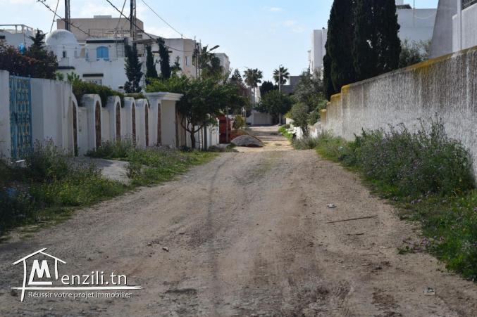 tél 26122779 أرض للبيع في المنصورة قليبية 336 م²