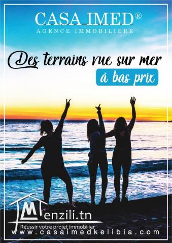 terrain 51000DT sana