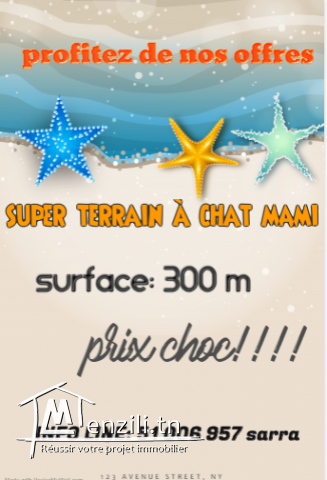 terrain 45000DT casaimed