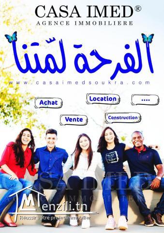 TERRAIN de luxe 50md