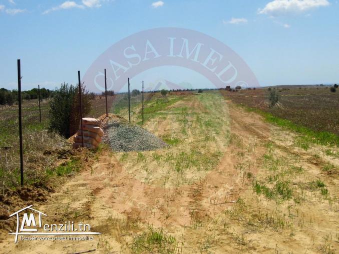 Terrain à kelibia surf à partir de 500m² a 1000m²