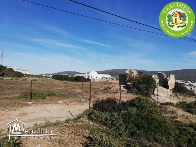 أراضي في الهوارية قريبة للبحر ب-29 مليون