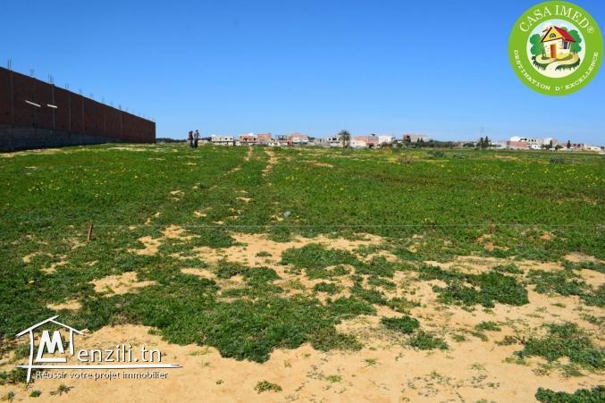 أراضي صالحة للبناء + شهادة ملكية في قليبية