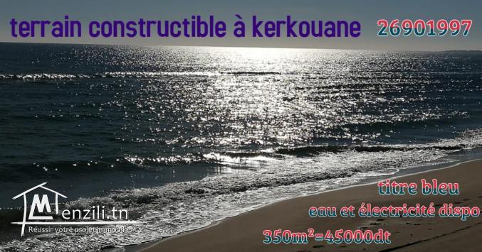 kerkouane : *****la merveilleuse mer ***** 26901997