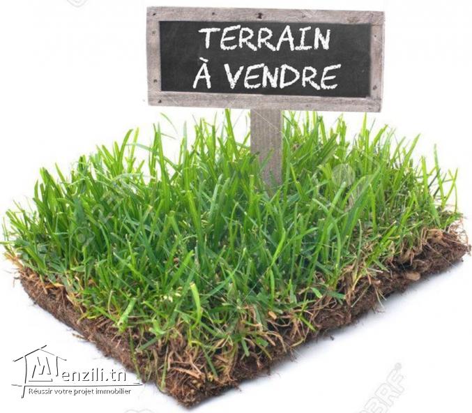 Terrain à la Soukra 959m² /1100DT le m²