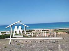 terrain vue sur mer à hawaria !!