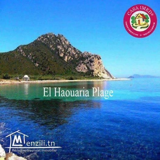 terrain vue sur mer à hawaria !!