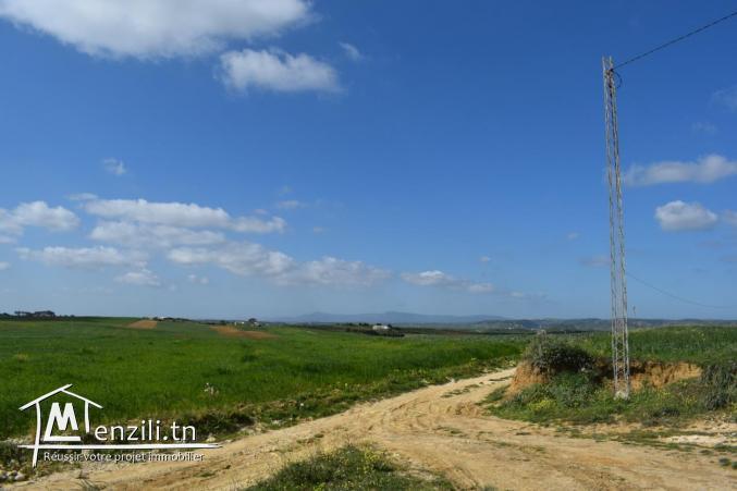 أرض 500 م² ب-25 مليون تبعد 10 دقائق على قليبية