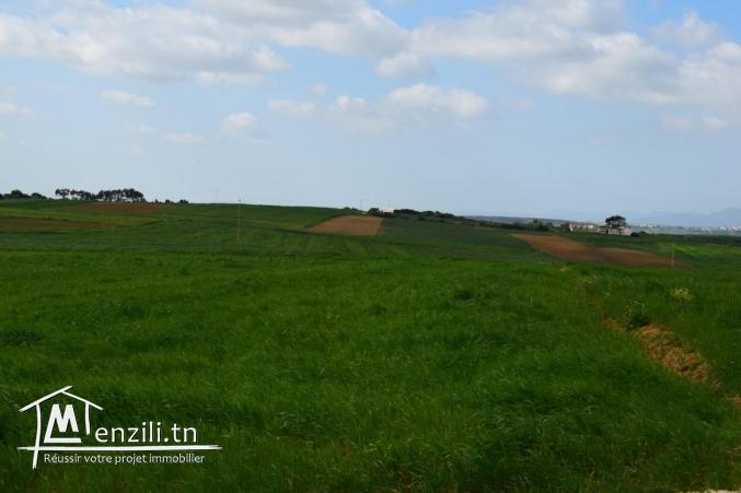 أرض 500 م² ب-25 مليون تبعد 10 دقائق على قليبية