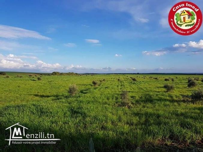 أرض 250 م² ب-12 مليون تبعد 10 دقائق على قليبية