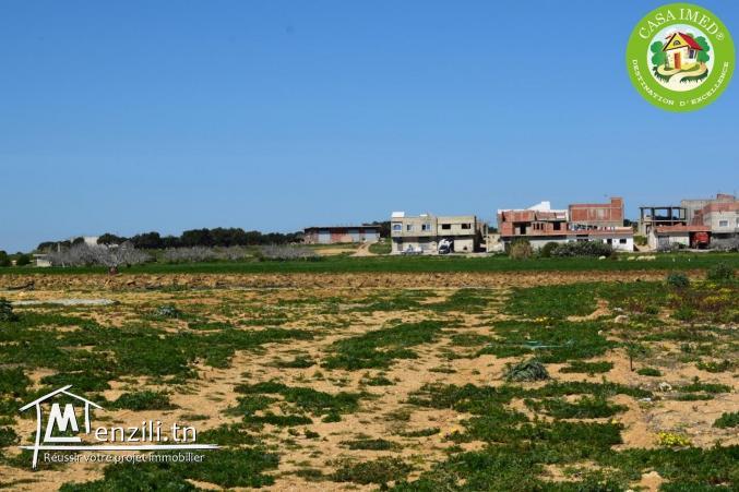 أراضي في قليبية للبيع فيها شهادة ملكية + صالحة للبناء