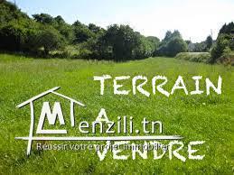 TERRAIN 83000DT
