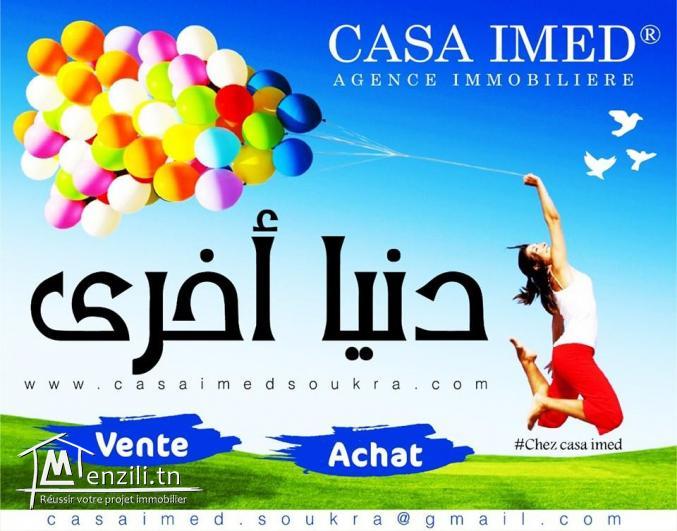 terrain chic 1000mètre carrée