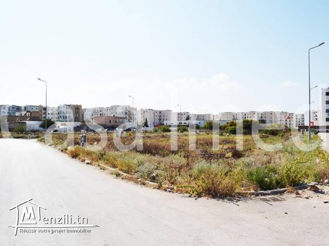 un terrain magnifique borj louzir ariana