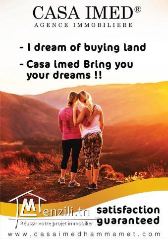 TERRAIN DE LUXE 50md lina