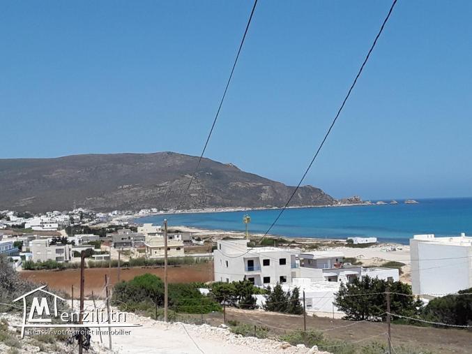 أراضي في الهوارية 300 م ب- 29 مليون أكهو tél 26.122.779