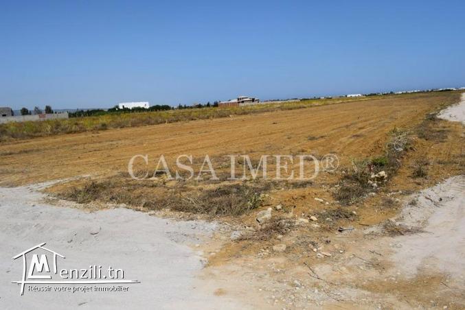 Terrain à hammamet de 350 m²