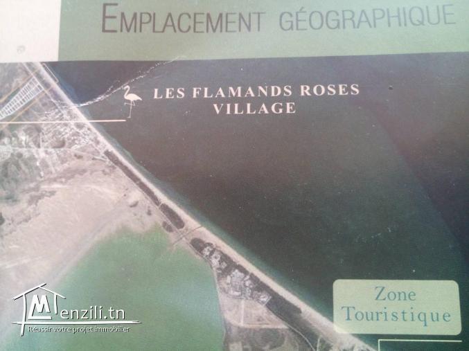 Terrain de 203 m2 à Raoued plage