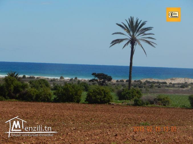 Vente terrain à Chatt Ezzouhour