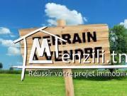 terrain à la corniche bizerte