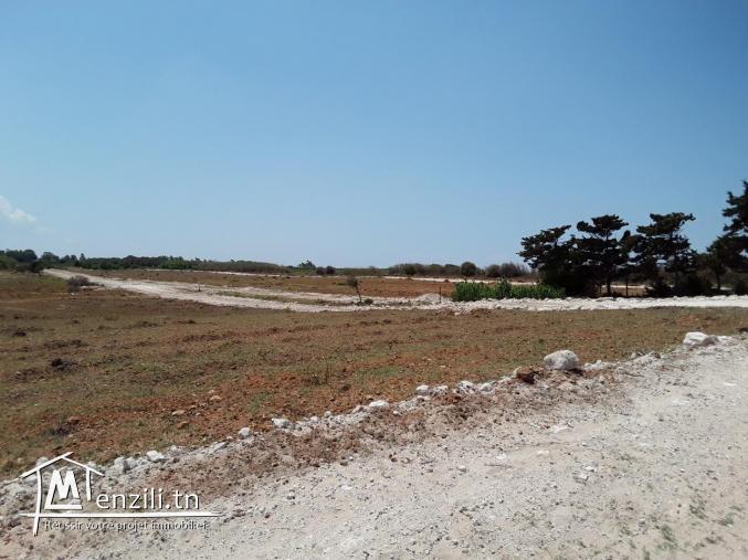 terrain vue sur mer à haouaria plage tél: 29711757