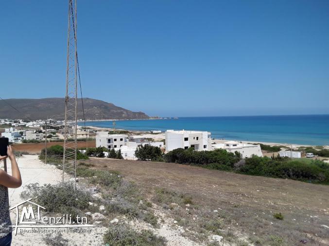 terrain vue sur mer à haouaria plage tél: 29711757