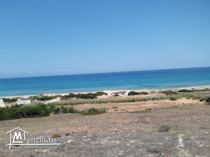 terrain vue sur mer à haouaria plage tél: 29711757