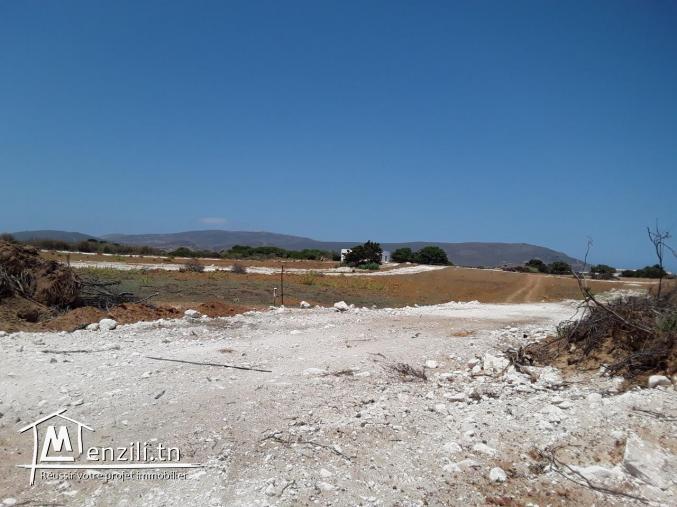 terrain vue sur mer à haouaria plage tél: 29711757