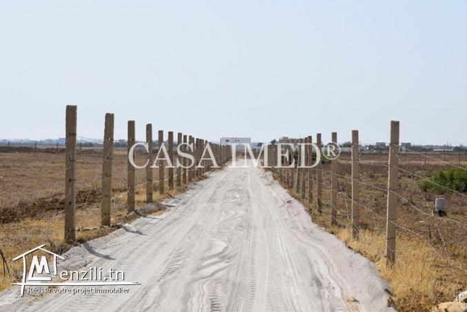 terrain 5 km à yasmine hammamet tél :29711757