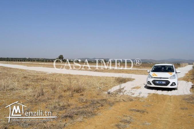 terrain 5 km à yasmine hammamet tél :29711757