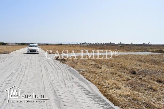 terrain 5 km à yasmine hammamet tél :29711757
