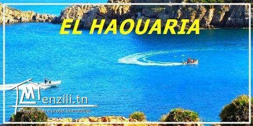 terrain a vendre a hawaria !! plage sable blanc