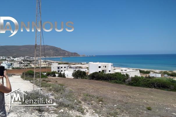 terrain a vendre a hawaria !! plage sable blanc