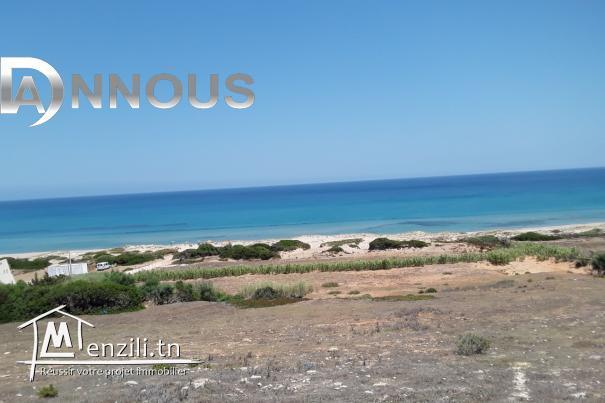 terrain a vendre a hawaria !! plage sable blanc