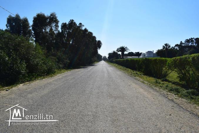 terrain très bien située a kerkouene vue sur mer tél: 28475390
