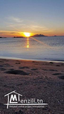 offre de vente un terrain à haouaria la perle du cap bon contactez nous 29232861