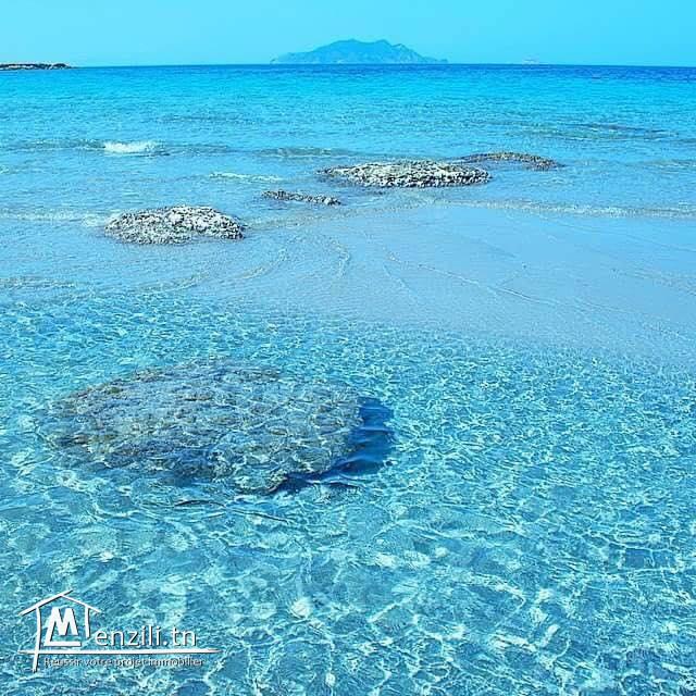 terrain a vendre à haouaria 29000