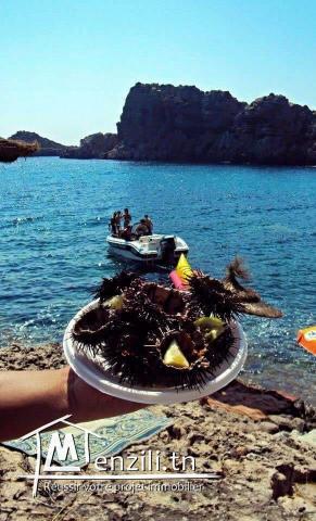 الهوارية جنة وكان تحب تملك فيها أرض كلمنا 29232861