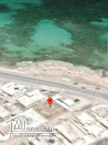 Terrain à la chebba bien situé