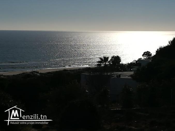 terrain a vendre dans une place trés magnifique et calme contactez nous 29232861